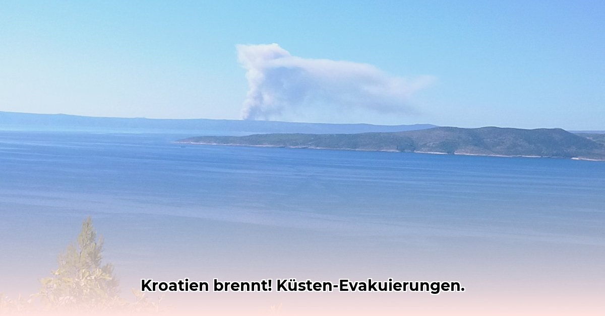 waldbrand-kroatien-adria